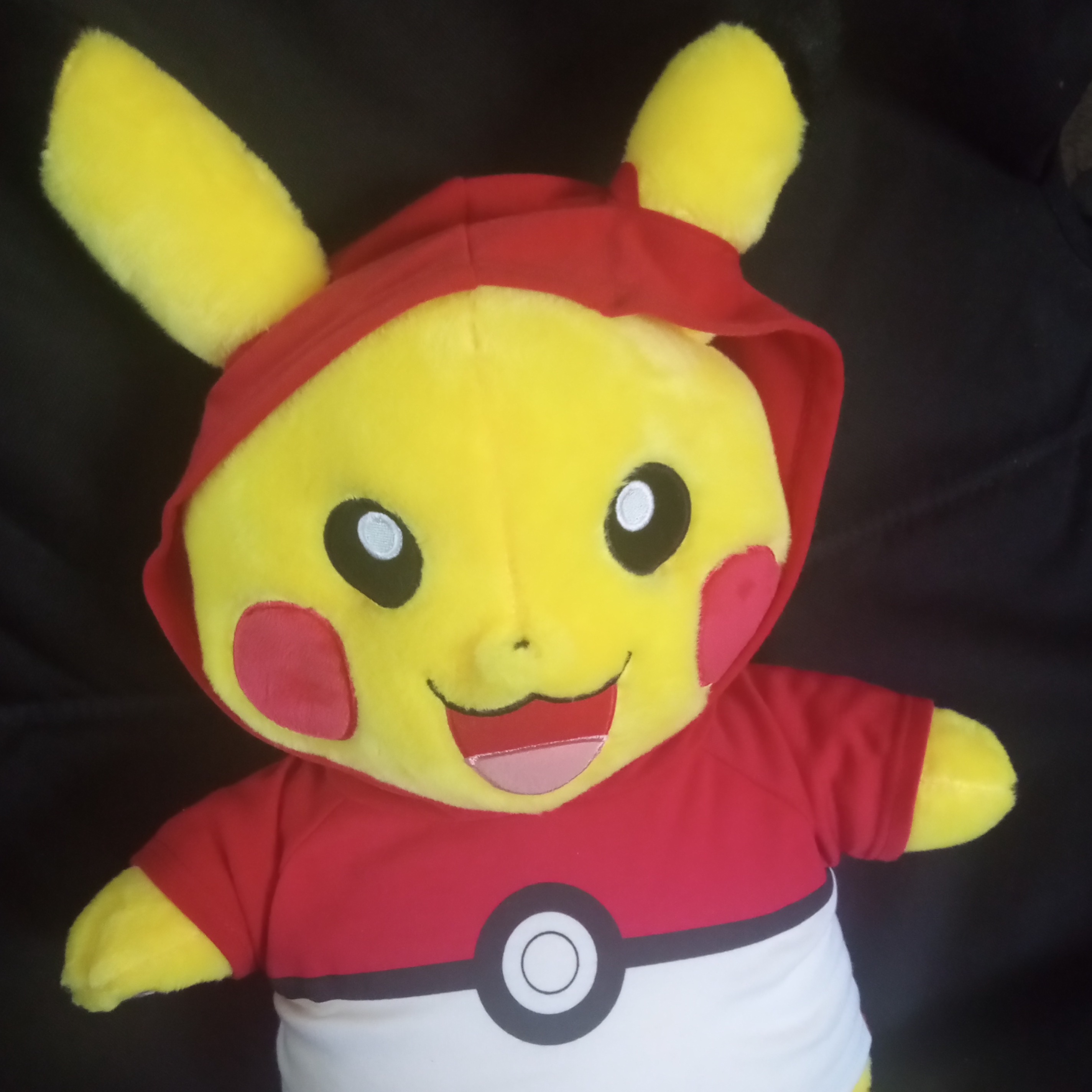 Persona image for Pika Dad