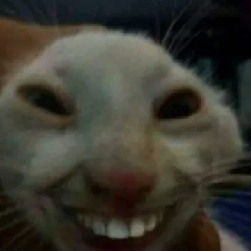 Suno profile picture for @puss