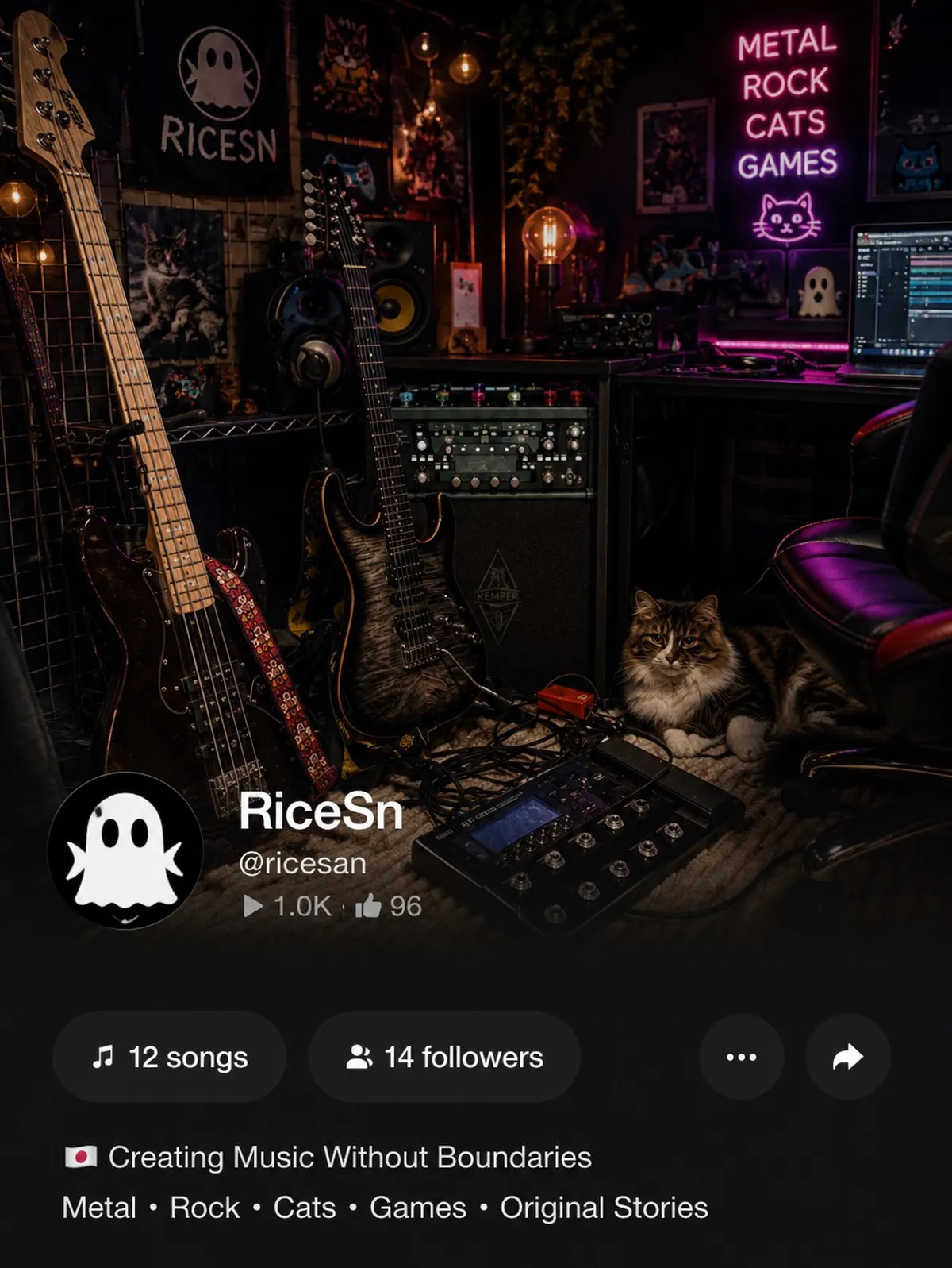 RiceSn cover