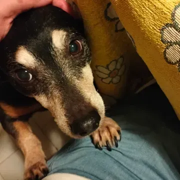 Profile picture for Fragio