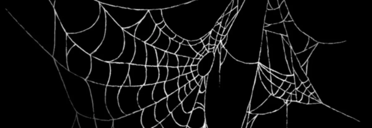 KillingSpiders cover