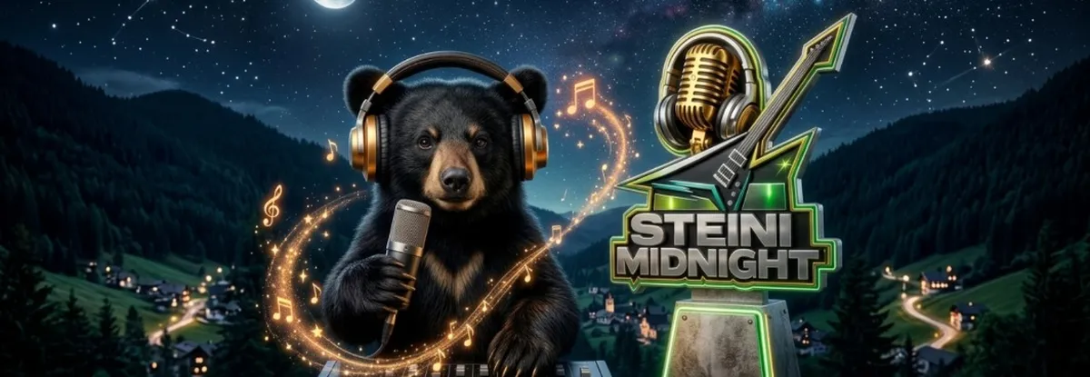 Steini Midnight cover