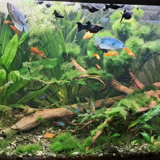 longer120