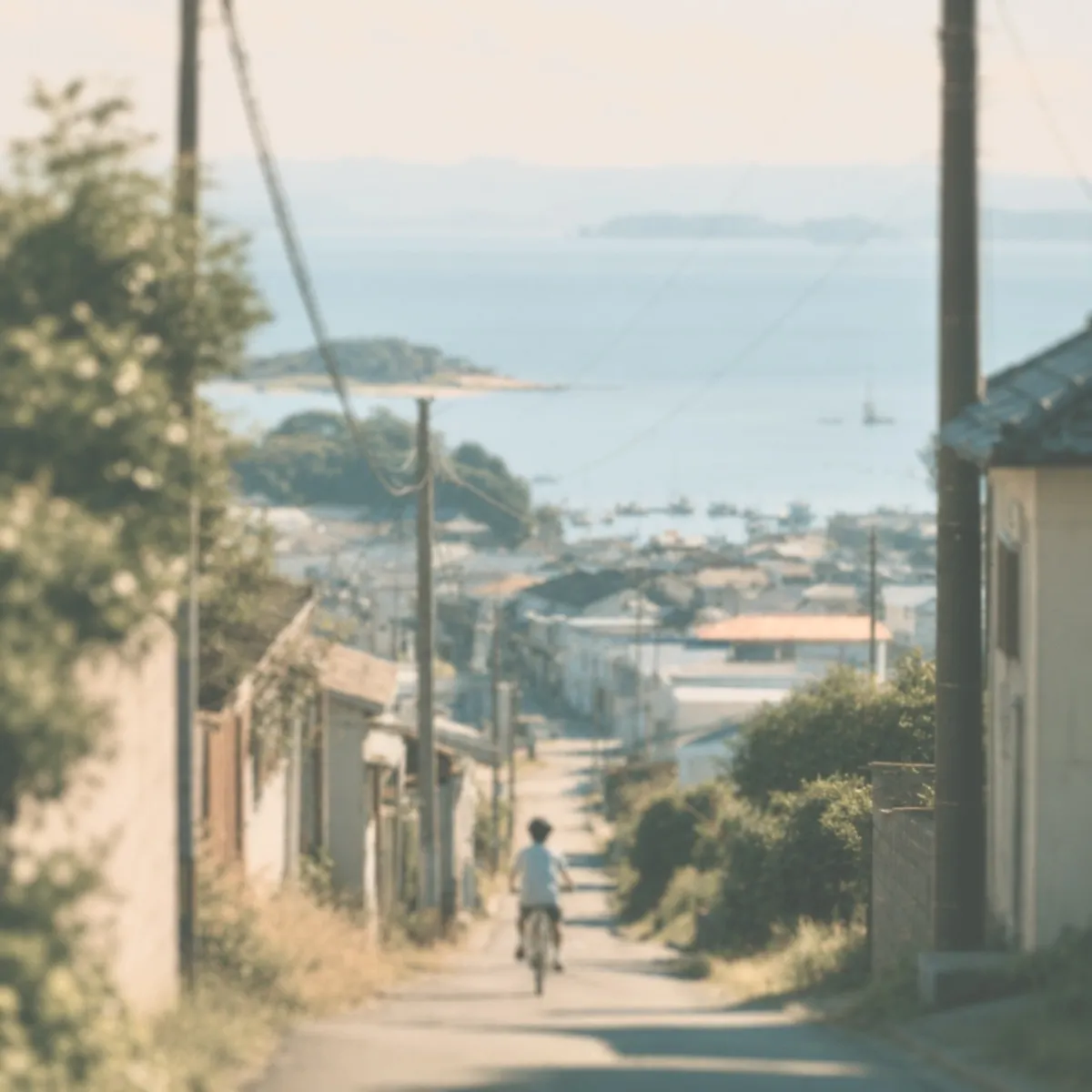 kiwp cover