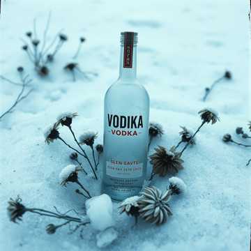 Fortunate Tovarishch